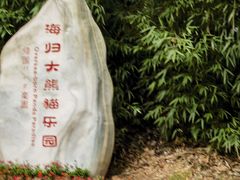 -中国大熊猫保护研究中心雅安碧峰峡基地