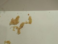 -肯德基(三元桥东店)