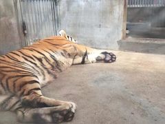 -泉州海丝野生动物世界