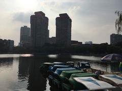 -文瀛公园