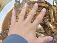 -金台阶鱼馆(于桥水库店)