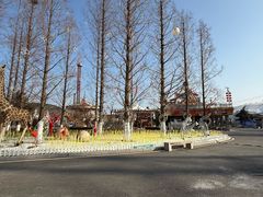 -大连森林动物园