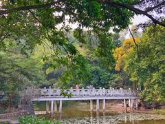 -深圳国际园林花卉博览园