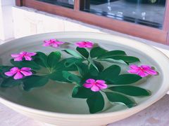 -采粤轩中餐厅(惠州金海湾喜来登度假酒店)