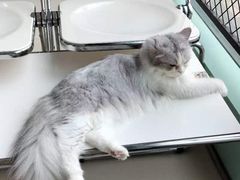 -怪兽屋·羊驼·猫咖·狗咖(俊华广场店)
