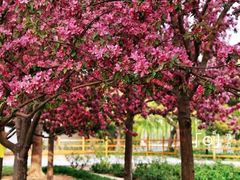 -元大都城垣遗址公园