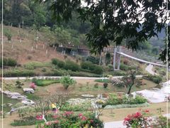 -东莞植物园