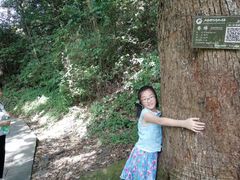 -石台牯牛降景区