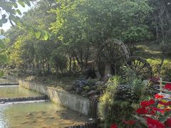 -广州白江湖森林公园