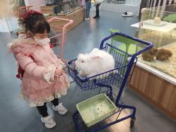 -Moni星球萌宠·小马宝莉·灵蛇·高端高阶全萌宠互动体验俱乐部(红豆国际广场店)