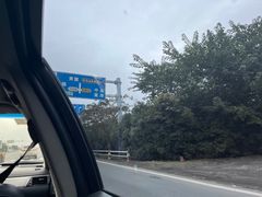 -合肥滨湖国家森林公园