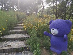 -大塘金香草谷