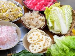 -阳阳老火锅(小南门店)