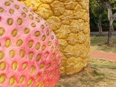 -琅岐红光湖公园