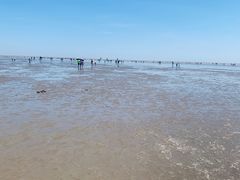 -碧海金沙