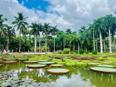 -中国科学院西双版纳热带植物园
