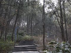 -云龙山