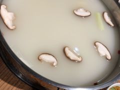 -彤德莱(奥林店)