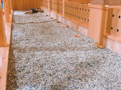 -汤W城市微度假(仓山店)