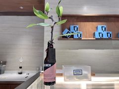 -LOTTA COFFEE(安居博文苑店)