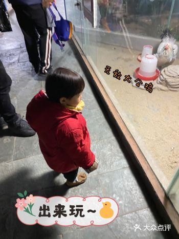 打卡/最适合亲子游玩的室内动物园