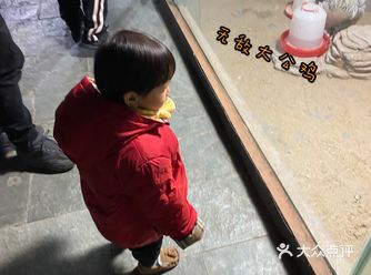 打卡/最适合亲子游玩的室内动物园