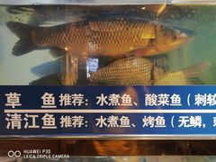 -爱妻鱼•老体北重庆水煮鱼•川菜(白云路店)