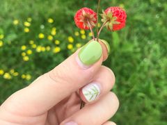 -硗碛藏寨·神木垒景区