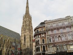 -斯蒂芬主教座堂(Stephansdom)