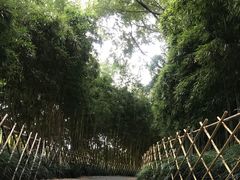 -西湖游船