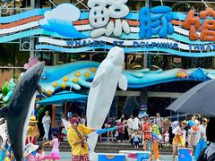 -海合安成都极地海洋公园