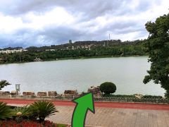 -洛龙公园