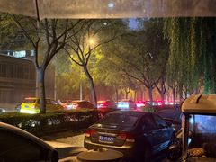 -陕西自然博物馆