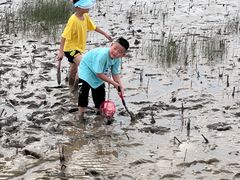 -南汇嘴观海公园