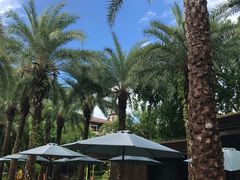 -碧桂园润杨溪谷温泉酒店