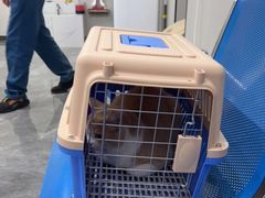 -东莞宠友24H宠物中心医院·转诊夜诊·异宠(新河北路院)