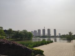 -九里河湿地公园