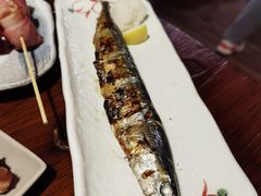 -鸟亭·居酒屋(青年路店)