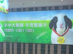 -丰茂烤串(公园店)