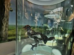 -辽宁古生物博物馆