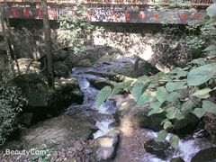 -藏龙百瀑风景区