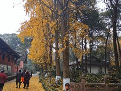 -宝光寺