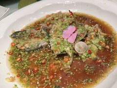 -舌尖上·霞浦滩涂海鲜·新闽菜(总店)
