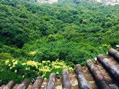 -杭州半山国家森林公园