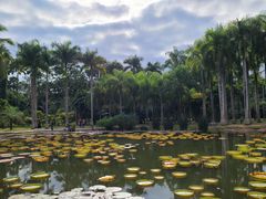 -中国科学院西双版纳热带植物园