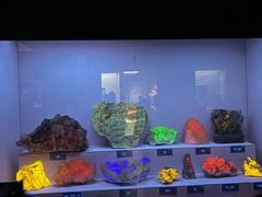 -湖南省地质博物馆