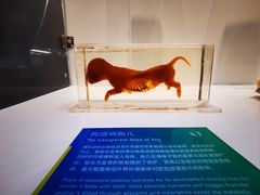 -生命奥秘博物馆
