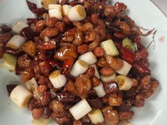 宫爆鸡丁-院8里·少城记忆老川菜(宽窄巷子店)