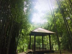 -广州市石门国家森林公园