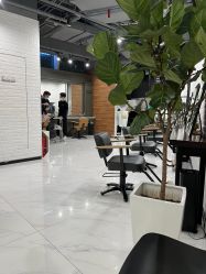 -程Studio